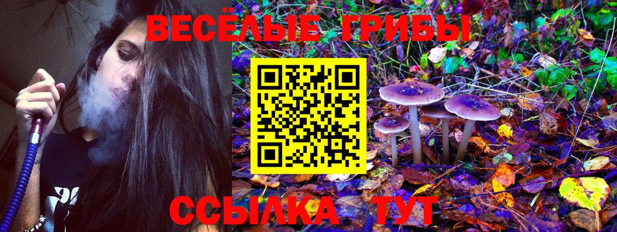 Мегион  Галлюциногенные грибы мицелий  где продают   Вход с VPN  Галлюциногенные грибы Cubensis 