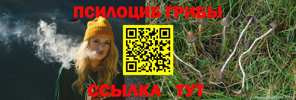 Псилоцибиновые грибы ЛСД Мегион